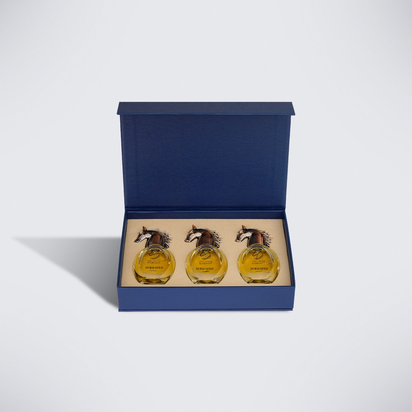 Ramasat Gift